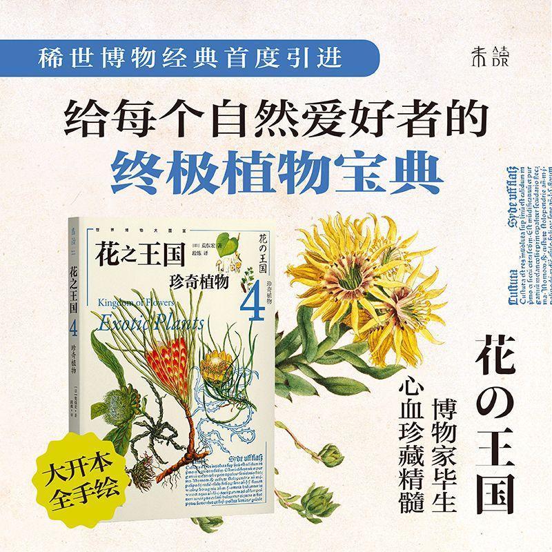 详情图片